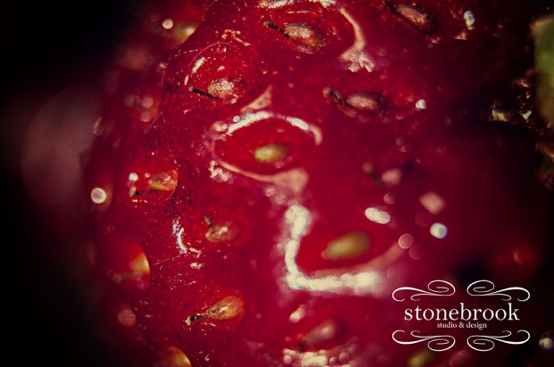 EmilyJohnson-MacroPhotographyRexburgFruit