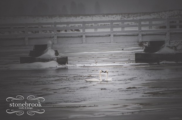 Emily Johnson, Fine Art, Fine Art Photography, FAPOS, Stonebrook Studio and Design, Rexburg Photographer, Massachusetts Photographer, Idaho Photographer