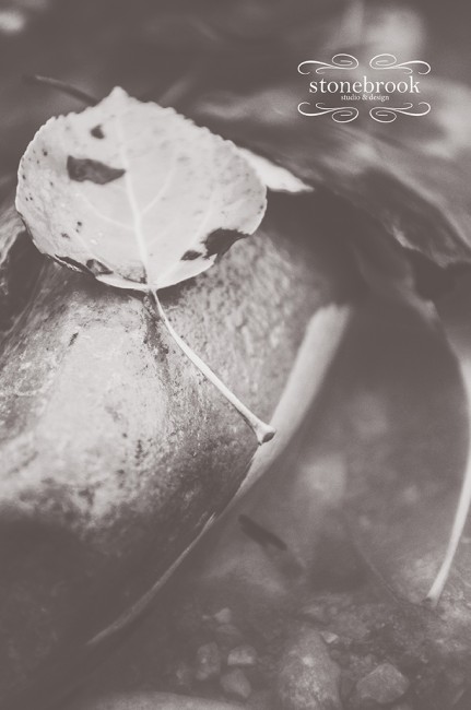 EmilyJohnson-FAPOS-FineArt-Photography-Rexburg-FineArtPhotographer-12