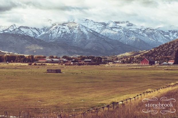 Emily Johnson, Portfolio, Rexburg Photographer, Photography, Portfolio, Stonebrook Studio and Design