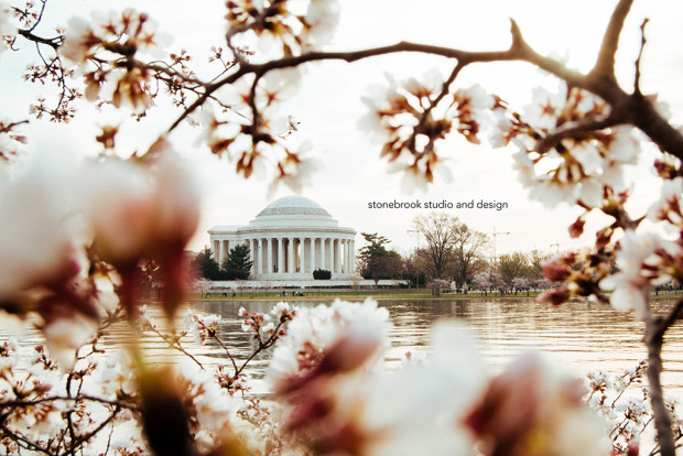 Washington DC, Washington Cherry Blossoms, Massachusetts Photographer, Sturbridge Photographer, Fine Art Photography, Cherry Blossoms Photography, DC Photography, Washington DC