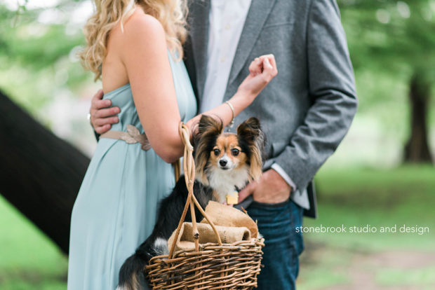 Sturbridge Photographer, Massachusetts Photographer, New England Photographer, Engagement session, Engagement Photographer, Wedding Photographer, Sturbridge, Massachusetts